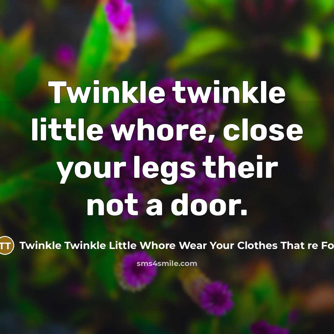 “Twinkle twinkle little whore, close your legs their not a door.” quote by Twinkle Twinkle Little Whore Wear Your Clothes That re For