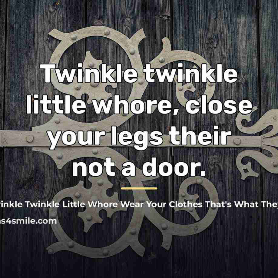 “Twinkle twinkle little whore, close your legs their not a…” quote by Twinkle Twinkle Little Whore Wear Your Clothes That re For