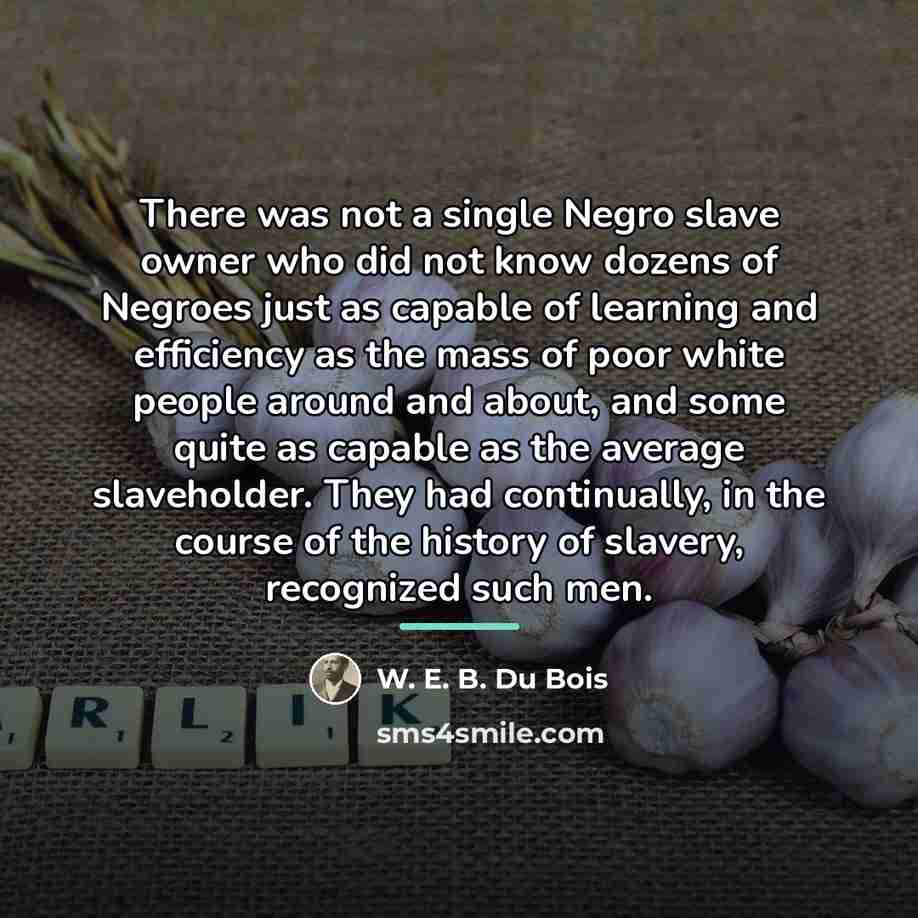 “There was not a single Negro slave owner who did…” quote by W. E. B. Du Bois