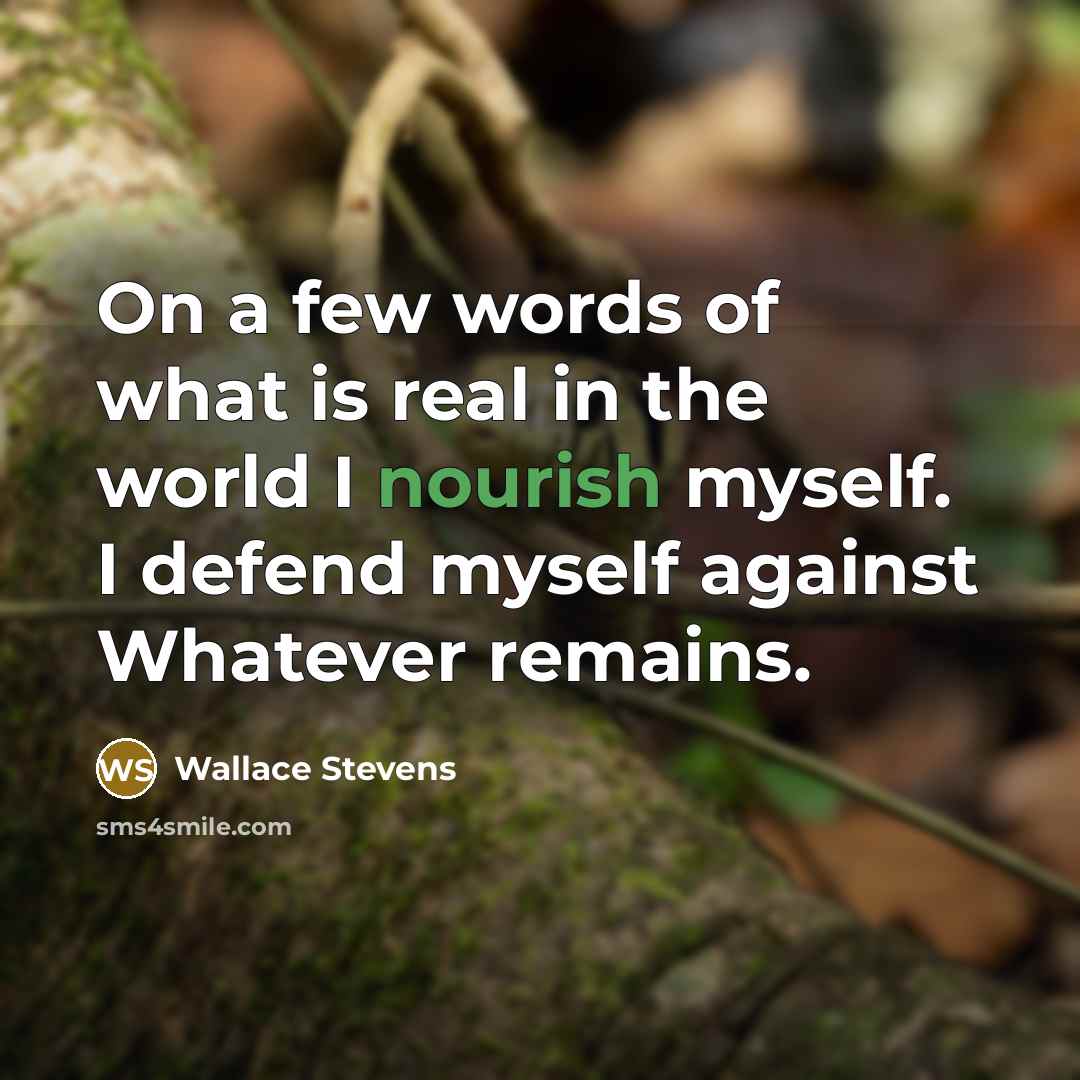 “On a few words of what is real in the…” quote by Wallace Stevens
