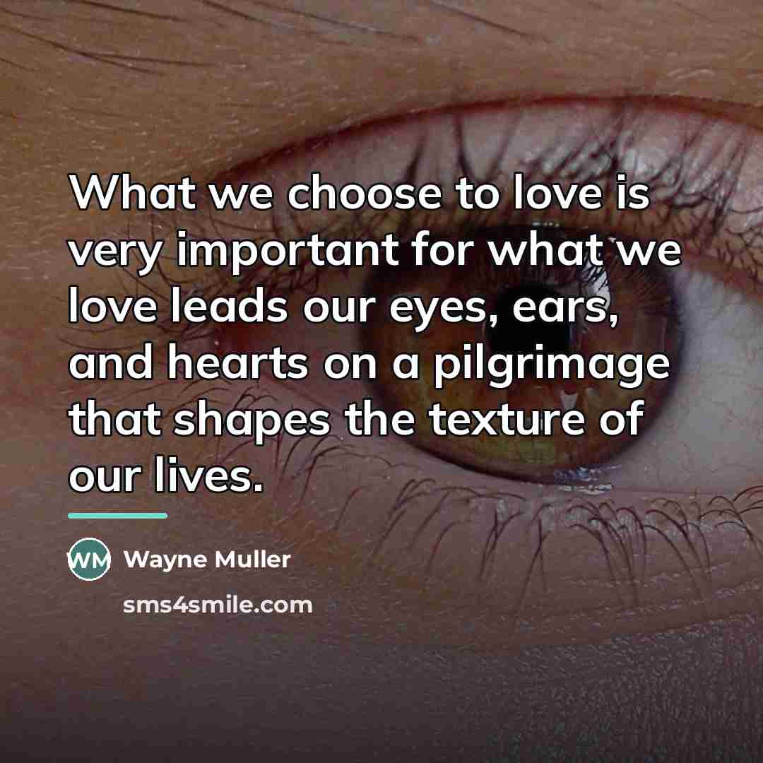 “What we choose to love is very important for what…” quote by Wayne Muller