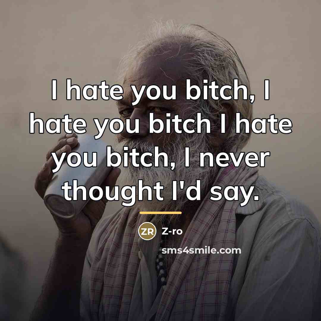 “I hate you bitch, I hate you bitch I hate…” quote by Z-Ro