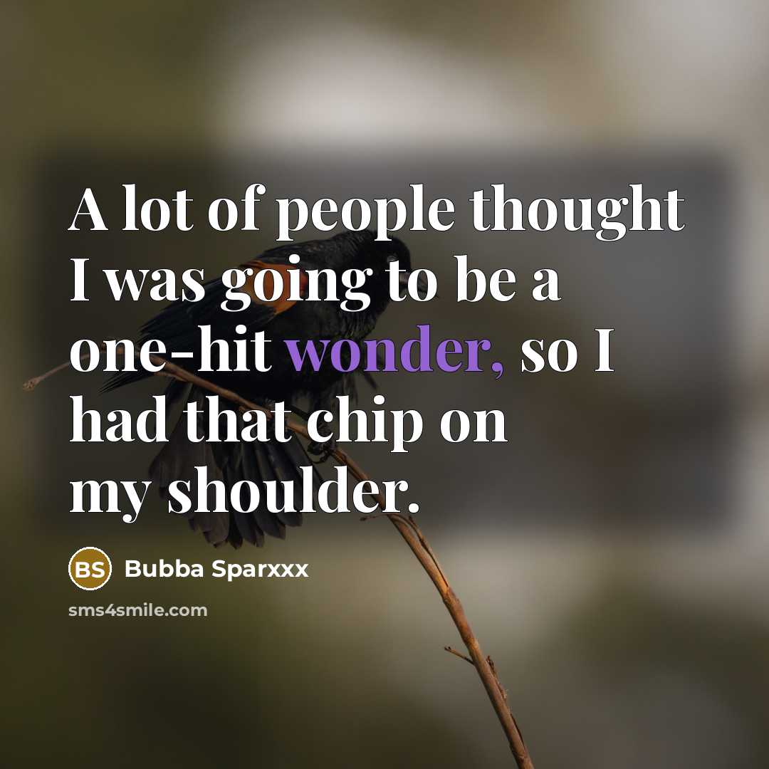 “A lot of people thought I was going to be…” quote by Bubba Sparxxx