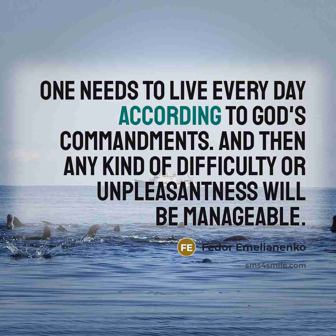 “One needs to live every day according to God's commandments. And then any kind of difficulty or unpleasantness will be manageable.” quote by Fedor Emelianenko