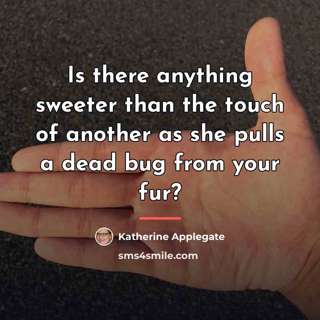 “Is there anything sweeter than the touch of another as…” quote by Katherine Applegate