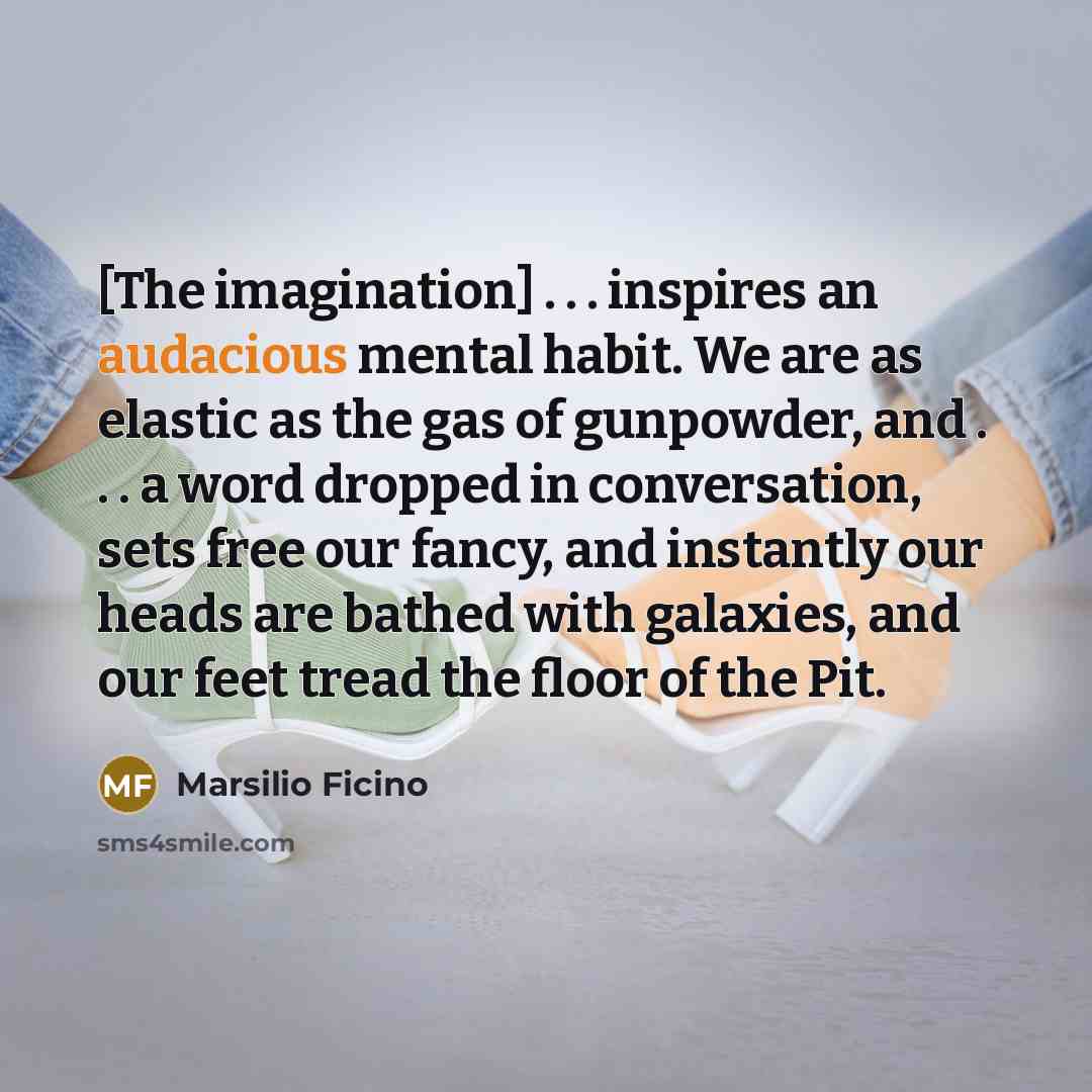 “[The imagination] . . . inspires an audacious mental habit.…” quote by Marsilio Ficino
