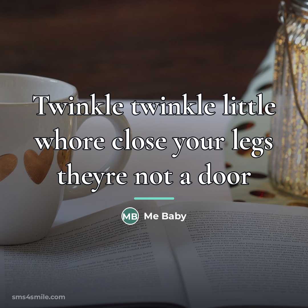 “Twinkle twinkle little whore close your legs theyre not a…” quote by Me Baby