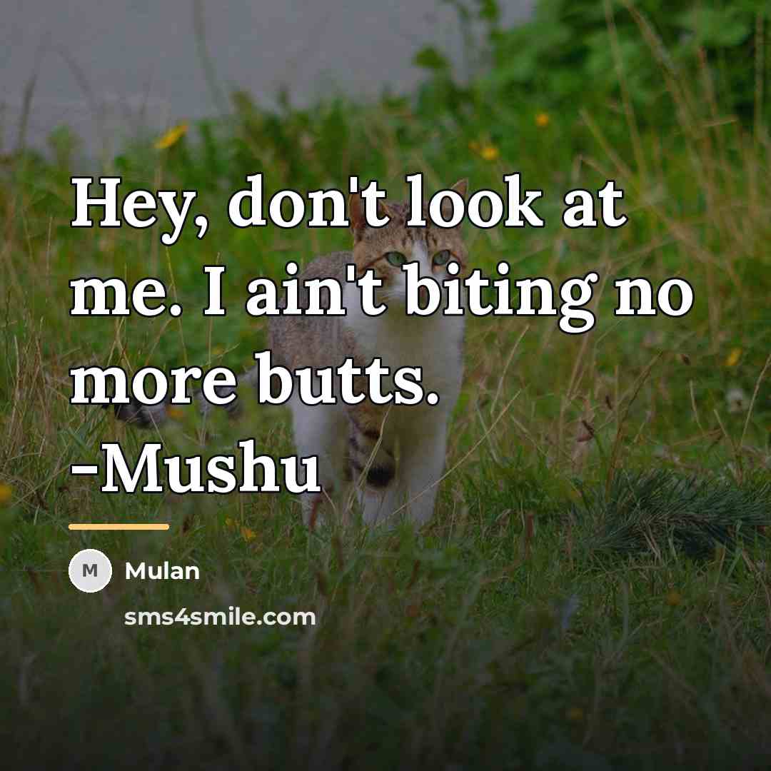“Hey, don't look at me. I ain't biting no more…” quote by Mulan