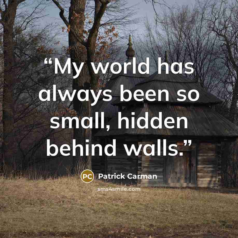 “My world has always been so small, hidden behind walls.” quote by Patrick Carman