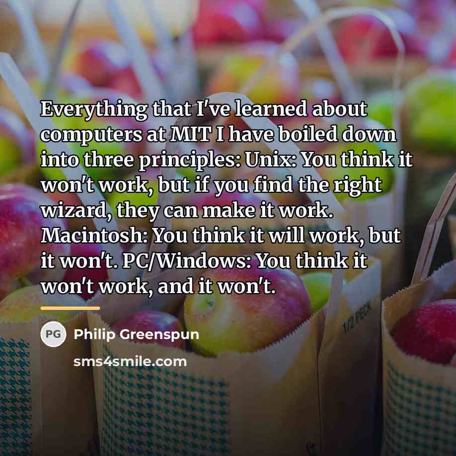 “Everything that I've learned about computers at MIT I have…” quote by Philip Greenspun