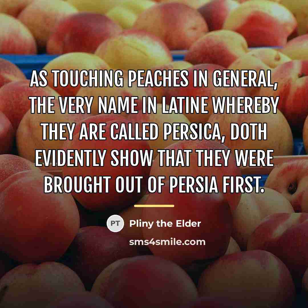 “As touching peaches in general, the very name in Latine…” quote by Pliny the Elder