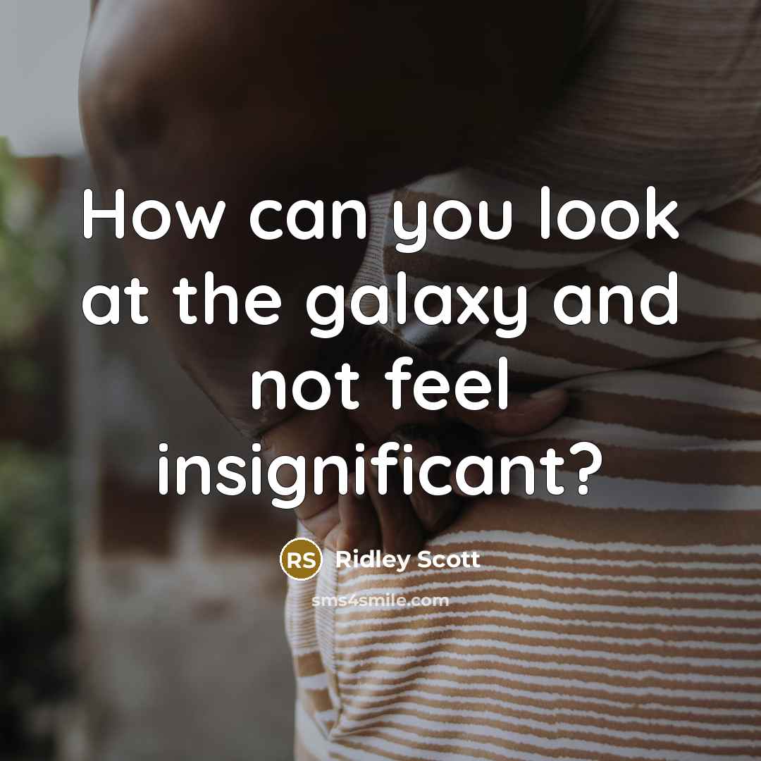 “How can you look at the galaxy and not feel…” quote by Ridley Scott