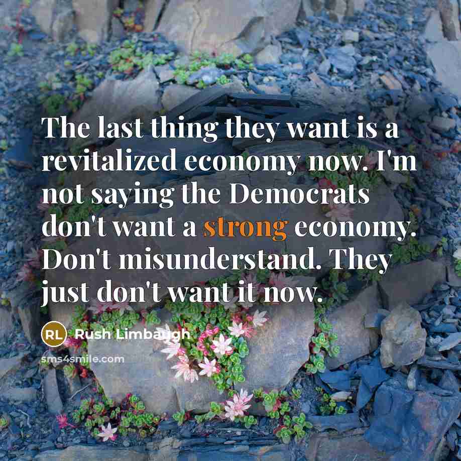 “The last thing they want is a revitalized economy now.…” quote by Rush Limbaugh