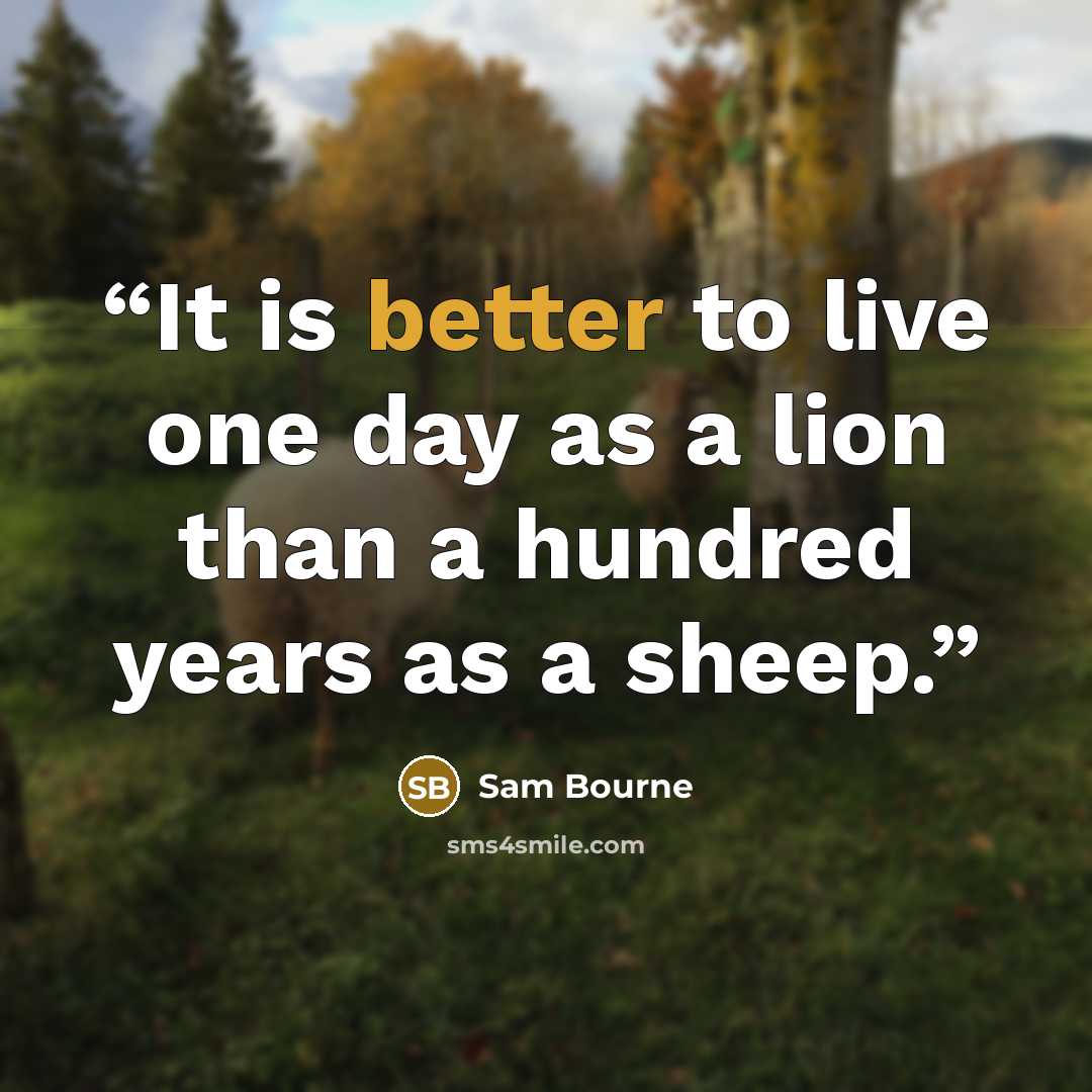 “It is better to live one day as a lion than a hundred years as a sheep.” quote by Sam Bourne