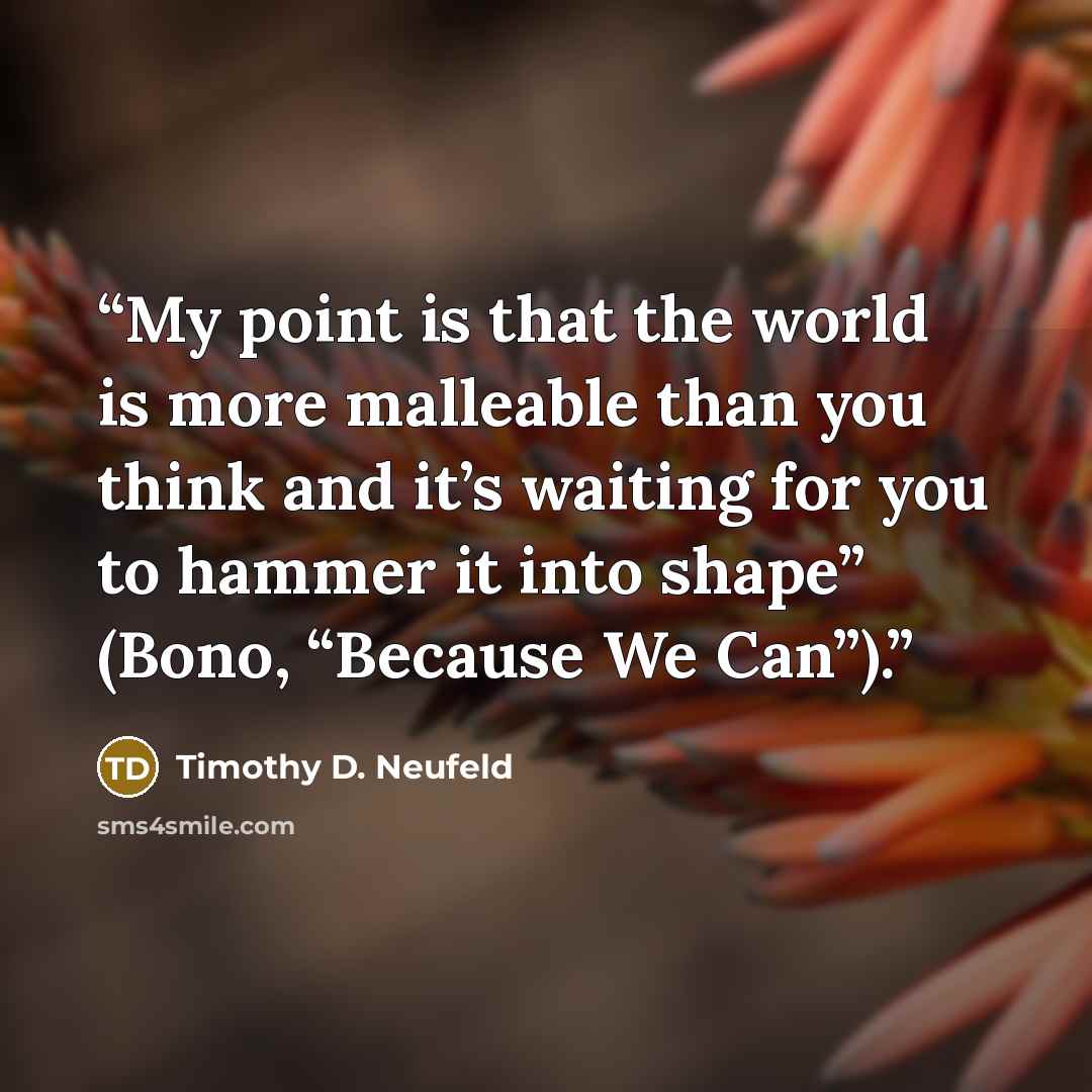 “My point is that the world is more malleable than you think and it’s waiting for you to hammer it into shape” (Bono, “Because We Can”).” quote by Timothy D. Neufeld