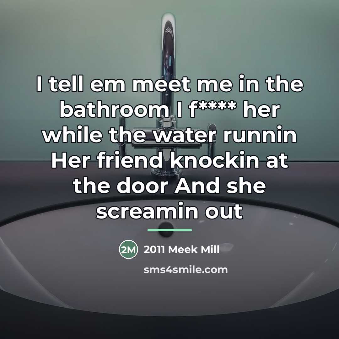 “I tell em meet me in the bathroom I f****…” quote by 2011 Meek Mill