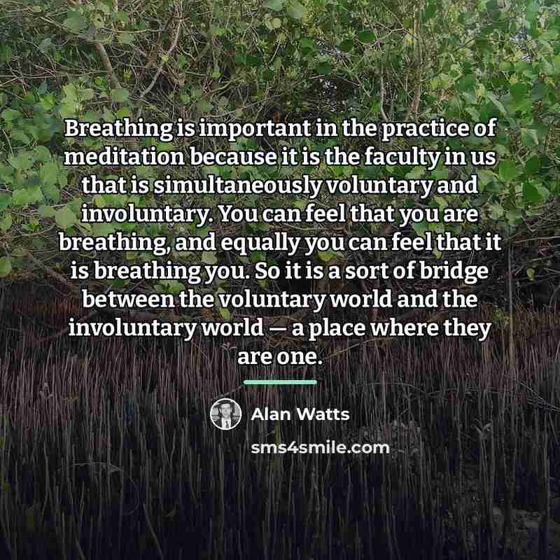 “Breathing is important in the practice of meditation because it…” quote by Alan Watts