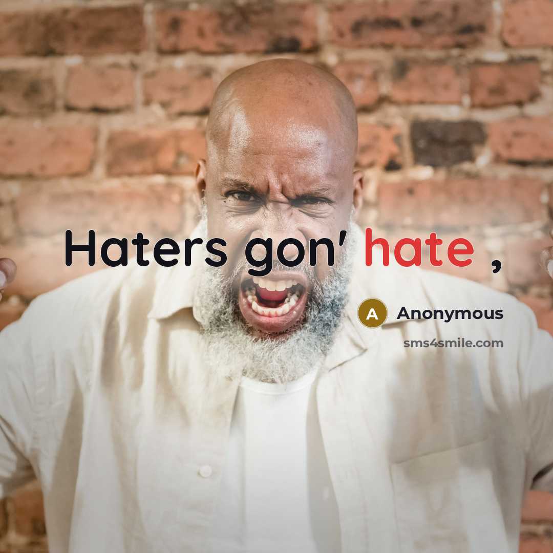 “Haters gon' hate ,” quote by Anonymous
