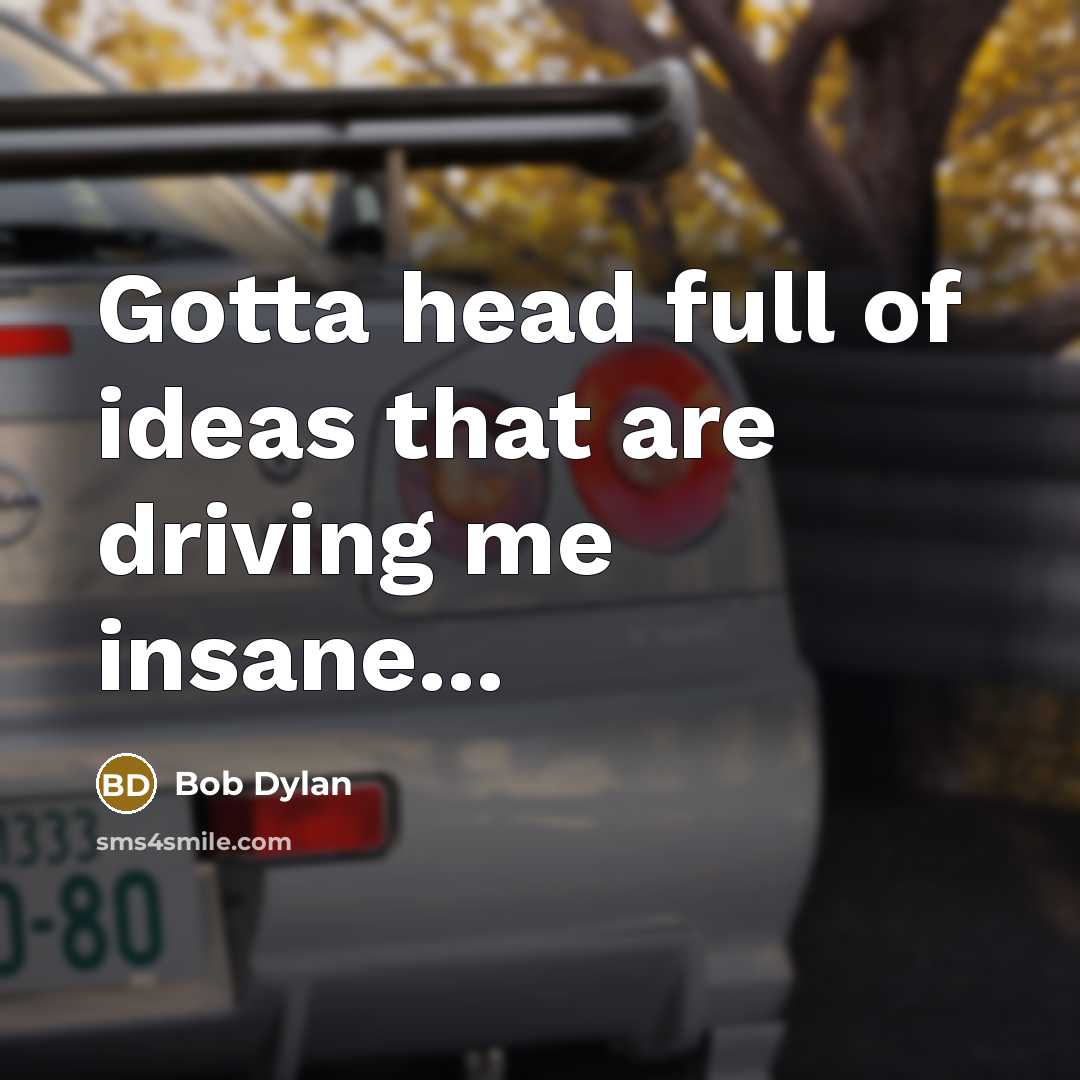 “Gotta head full of ideas that are driving me insane...…” quote by Bob Dylan