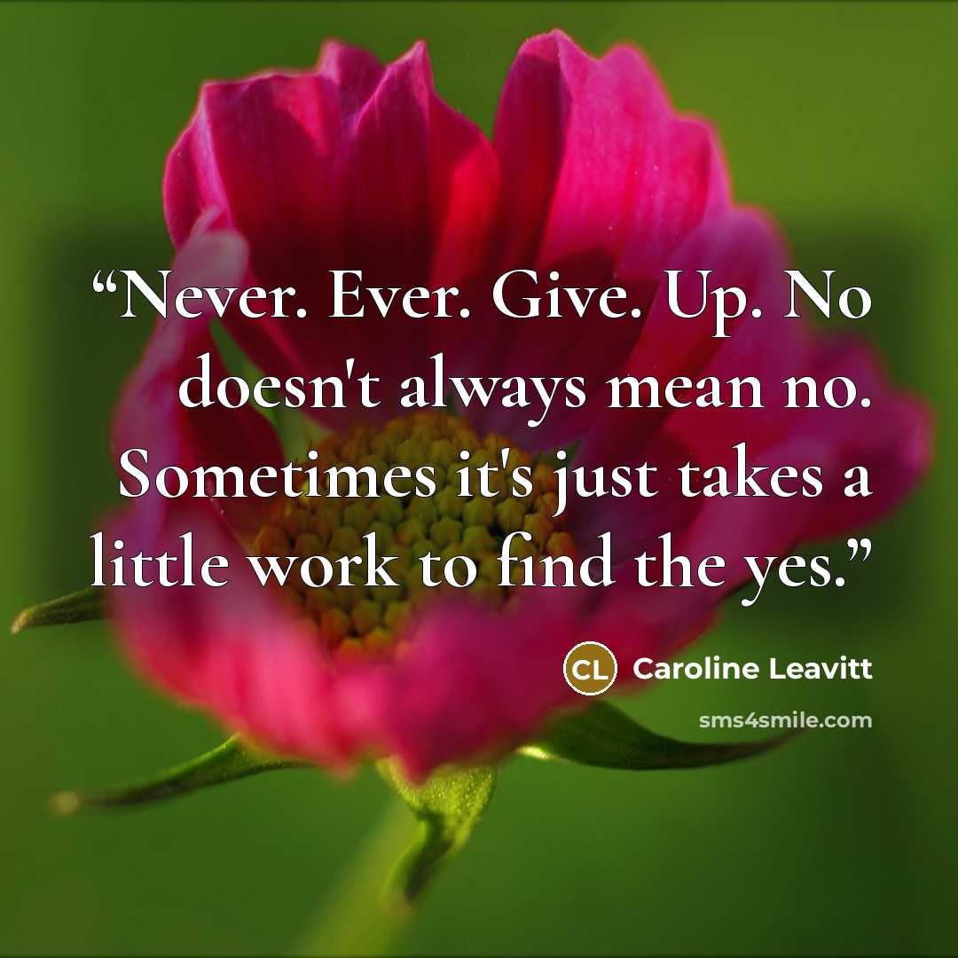 “Never. Ever. Give. Up. No doesn't always mean no. Sometimes it's just takes a little work to find the yes.” quote by Caroline Leavitt