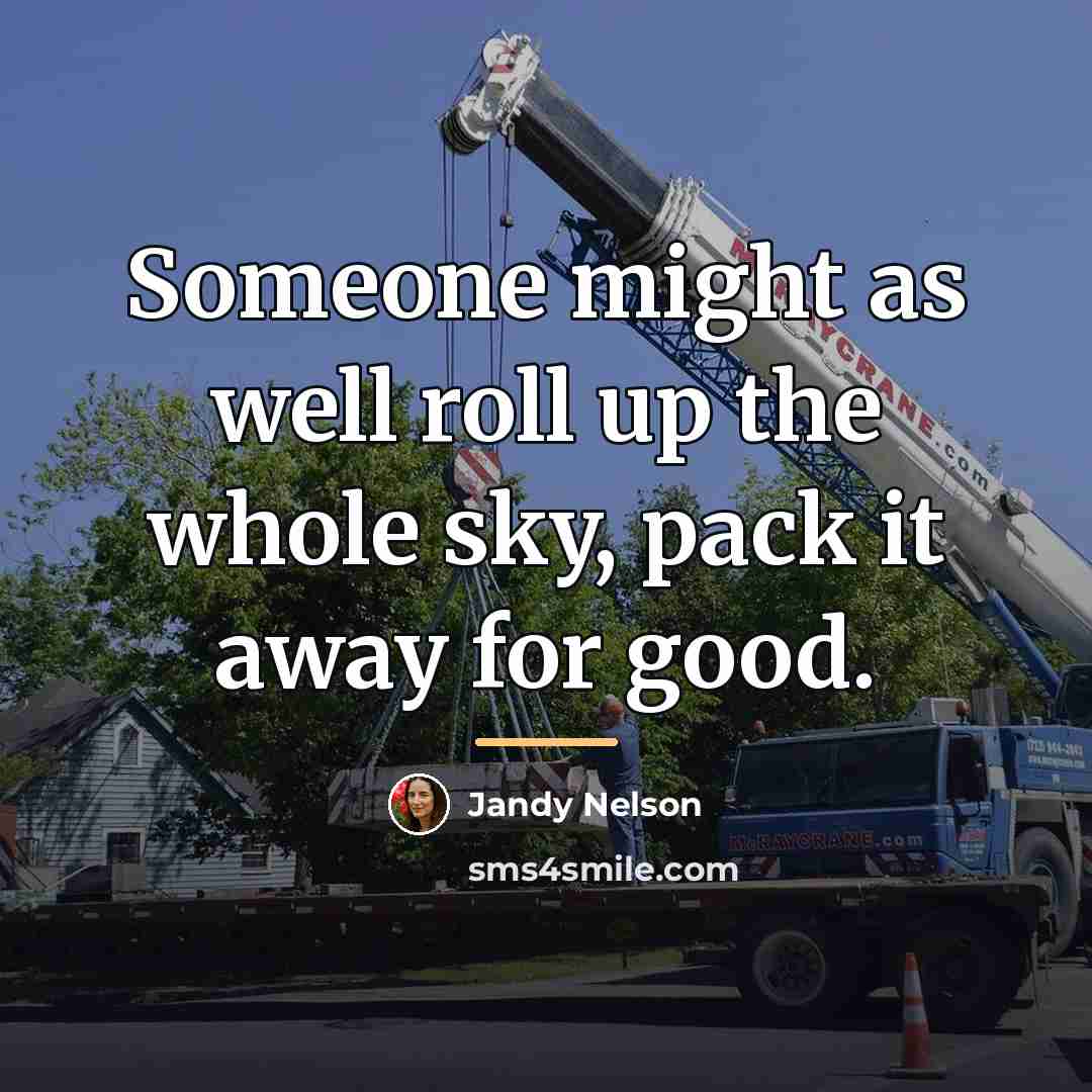 “Someone might as well roll up the whole sky, pack…” quote by Jandy Nelson