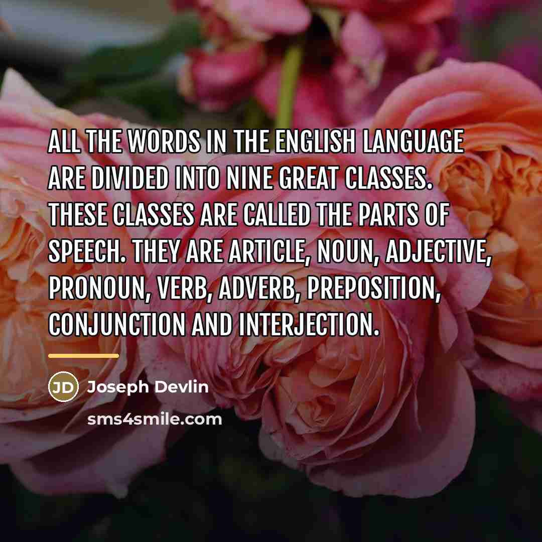 “All the words in the English language are divided into…” quote by Joseph Devlin