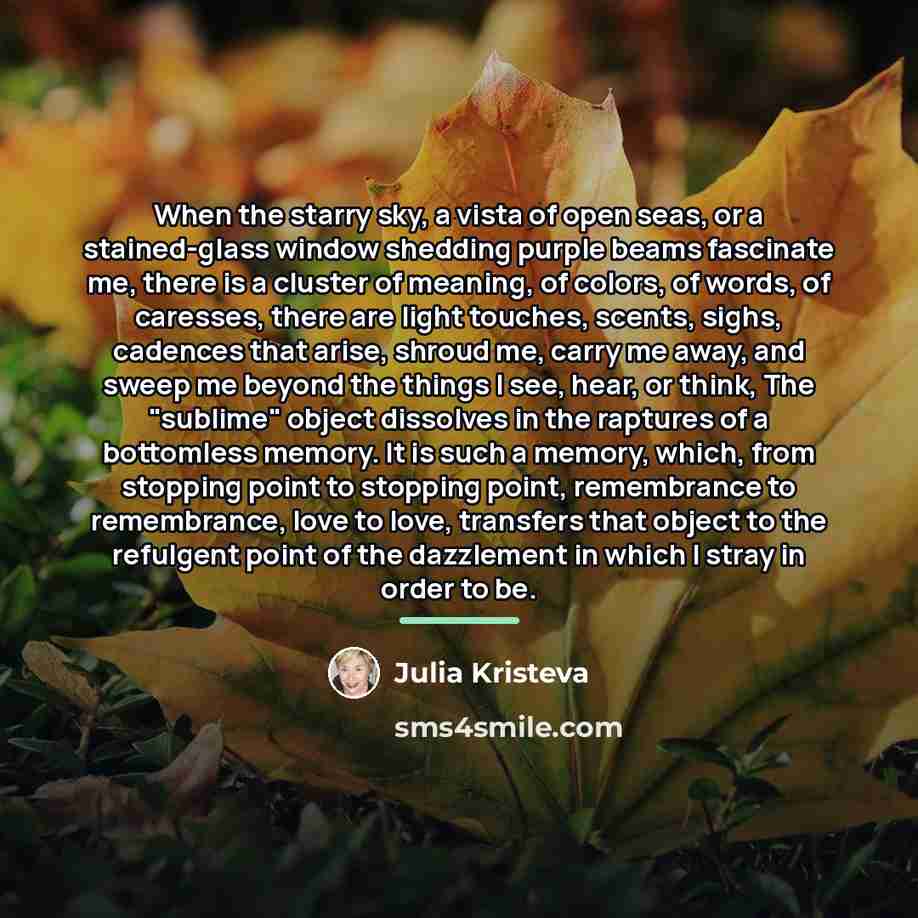 “When the starry sky, a vista of open seas, or…” quote by Julia Kristeva