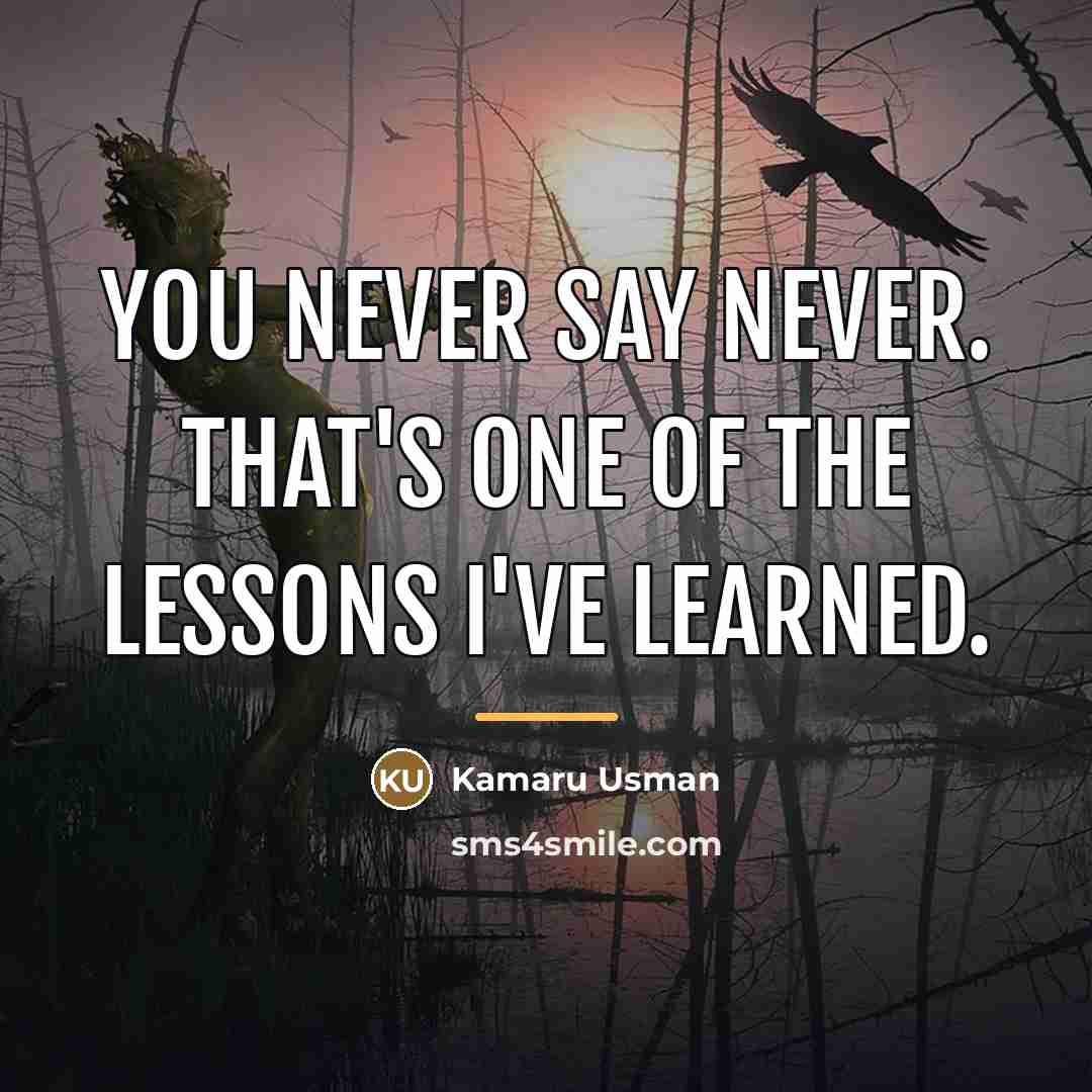“You never say never. That's one of the lessons I've…” quote by Kamaru Usman