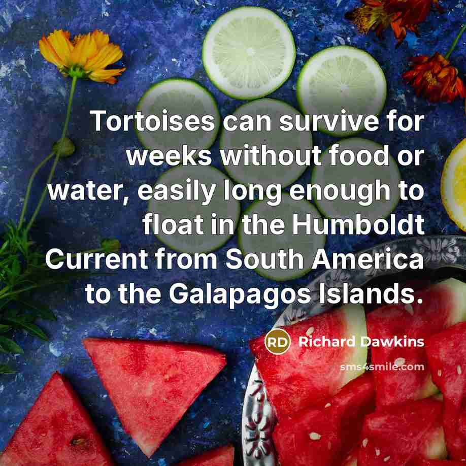 “Tortoises can survive for weeks without food or water, easily…” quote by Richard Dawkins