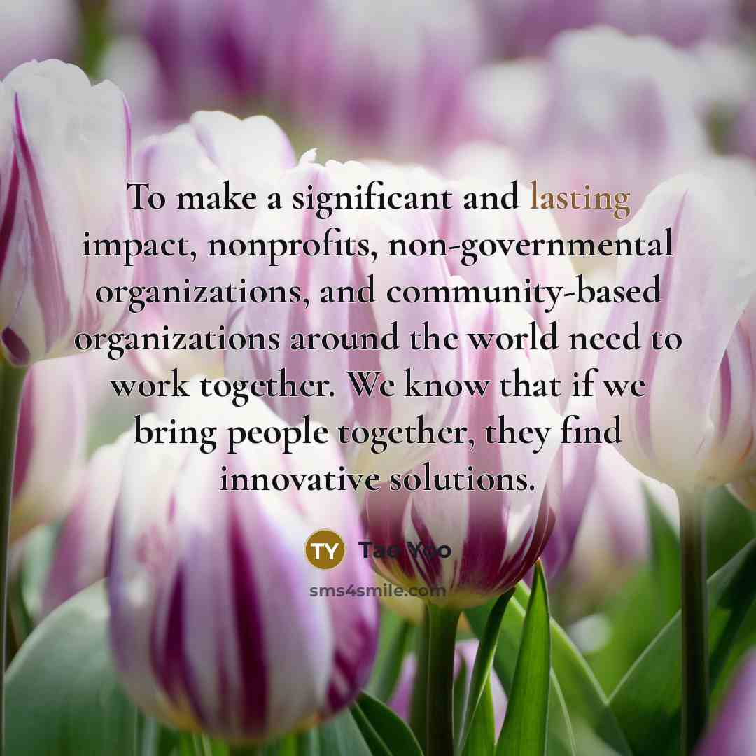 “To make a significant and lasting impact, nonprofits, non-governmental organizations,…” quote by Tae Yoo