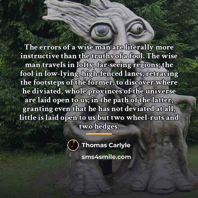 “The errors of a wise man are literally more instructive…” quote by Thomas Carlyle