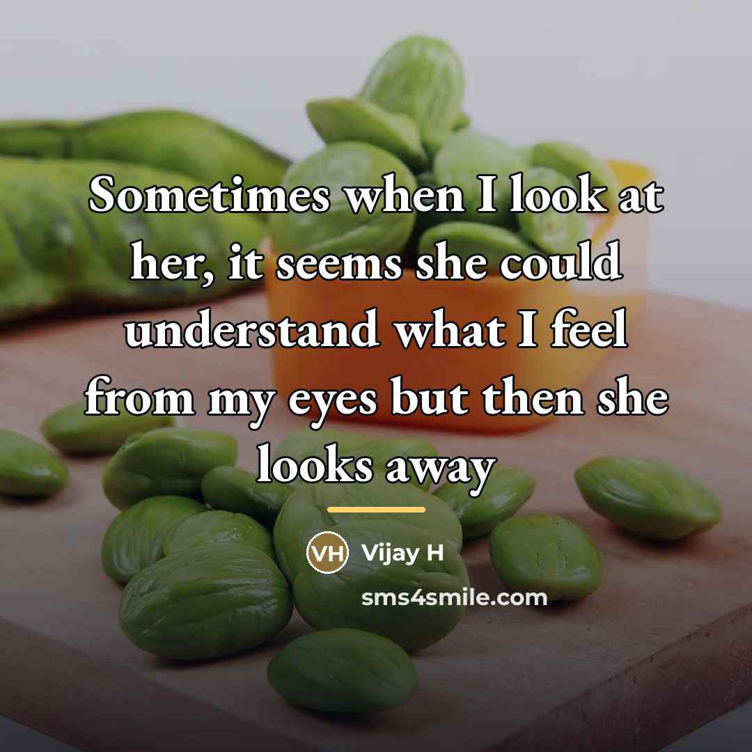 “Sometimes when I look at her, it seems she could…” quote by Vijay H