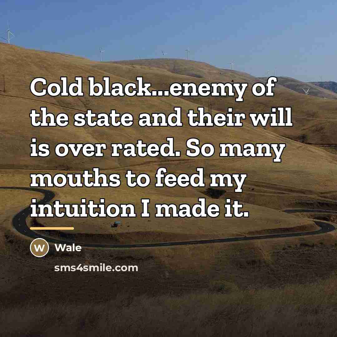 “Cold black...enemy of the state and their will is over…” quote by Wale