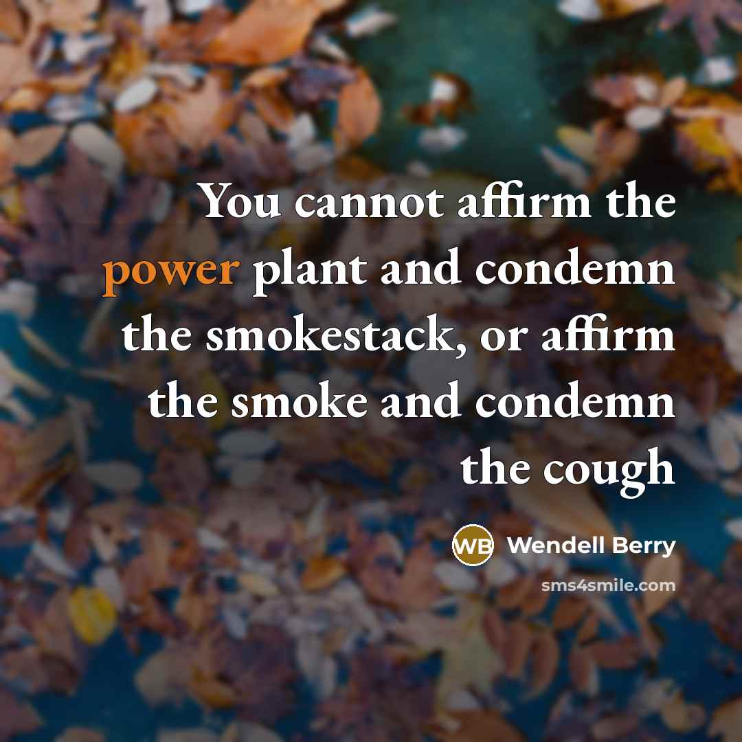 “You cannot affirm the power plant and condemn the smokestack,…” quote by Wendell Berry