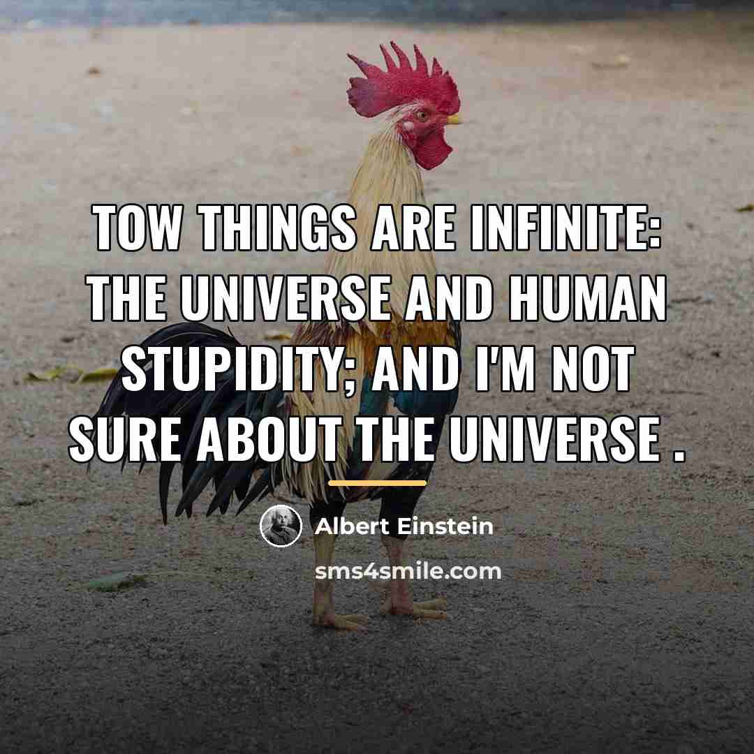 “Tow things are infinite: the universe and human stupidity; and…” quote by Albert Einstein