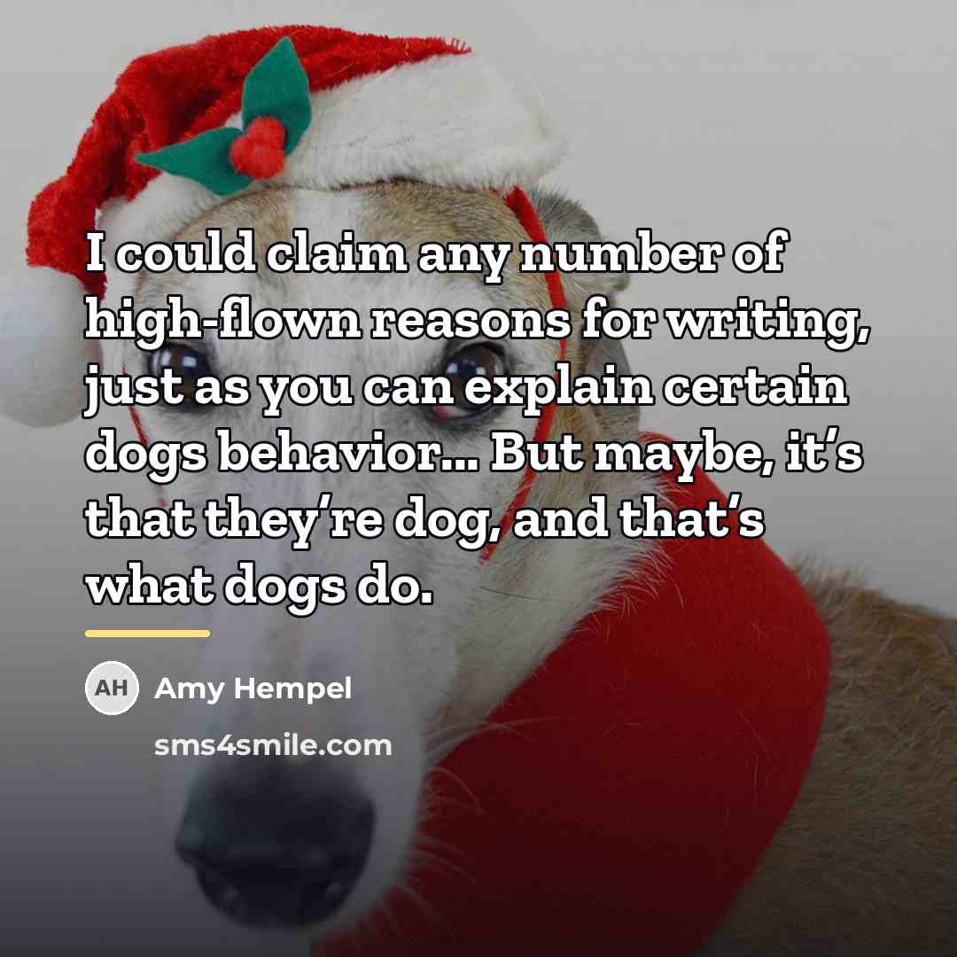 “I could claim any number of high-flown reasons for writing,…” quote by Amy Hempel