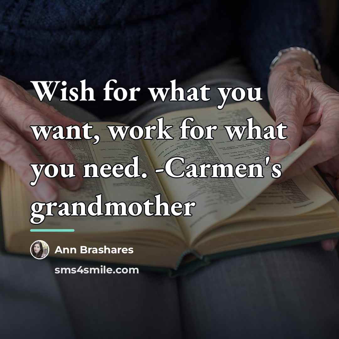 “Wish for what you want, work for what you need.…” quote by Ann Brashares