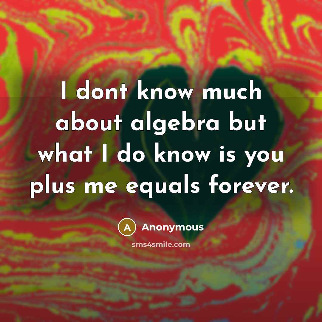 “I dont know much about algebra but what I do know is you plus me equals forever.” quote by Anonymous