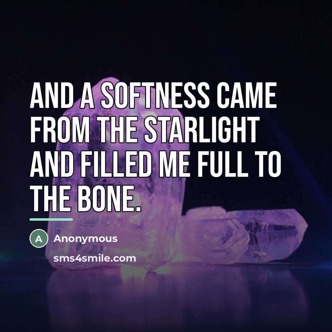 “And a softness came from the starlight and filled me…” quote by Anonymous
