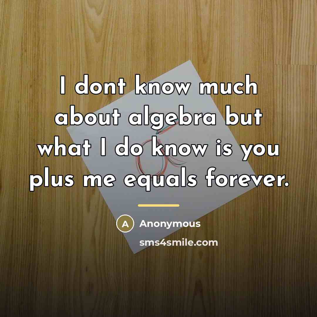 “I dont know much about algebra but what I do…” quote by Anonymous