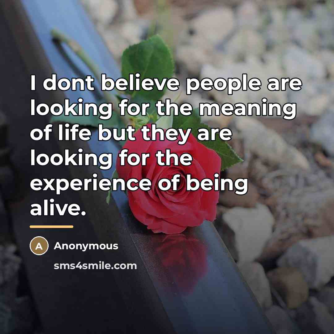 “I dont believe people are looking for the meaning of…” quote by Anonymous