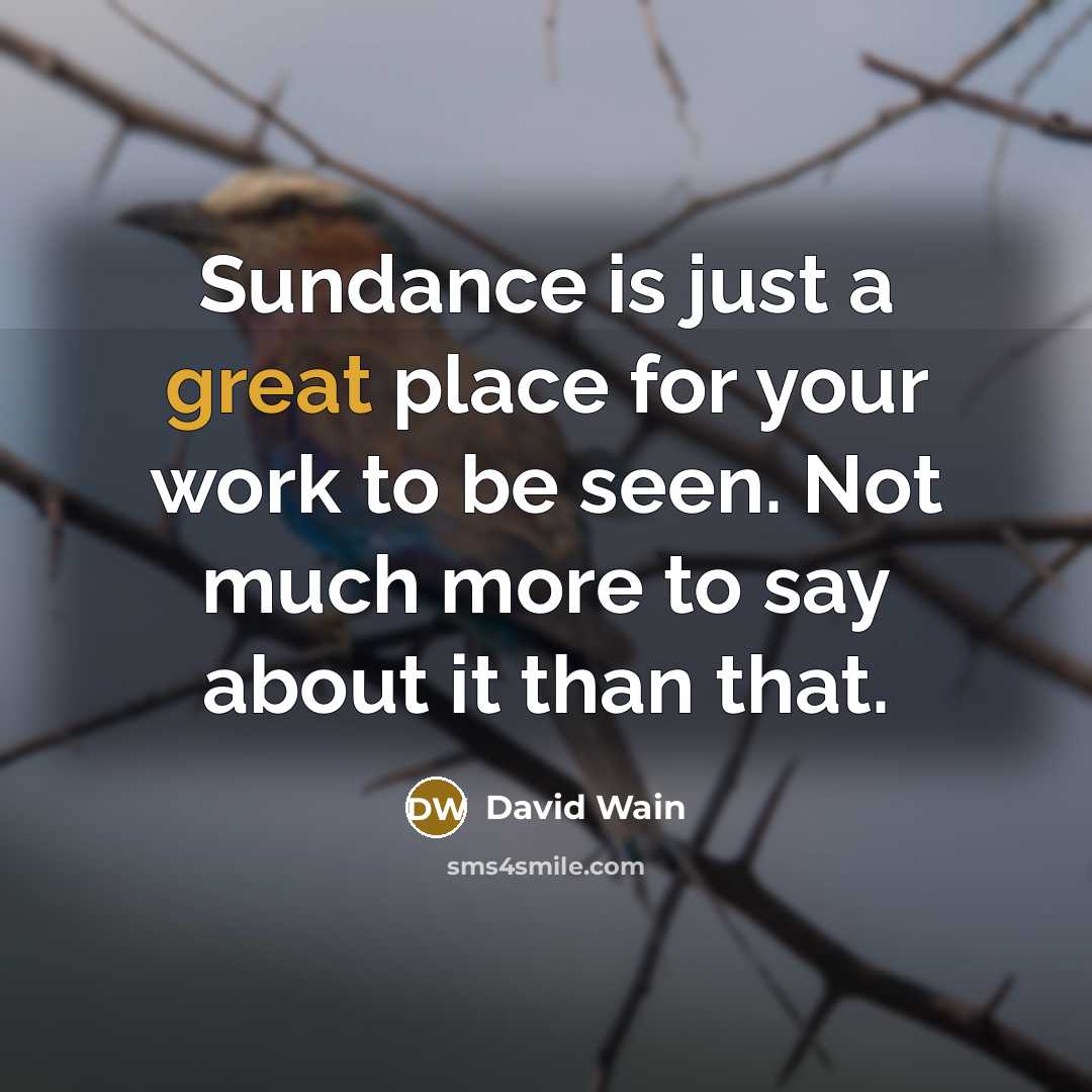 “Sundance is just a great place for your work to…” quote by David Wain
