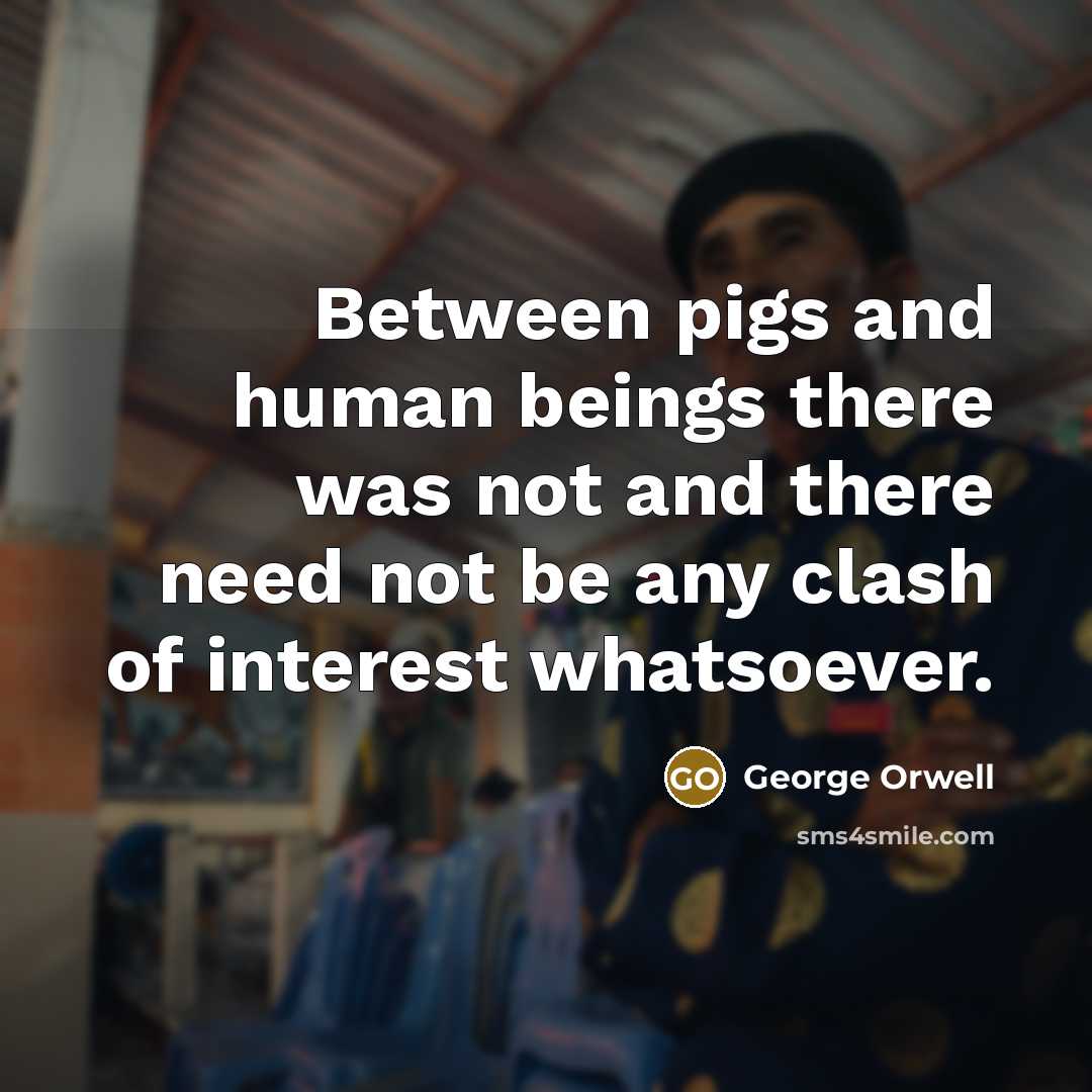 “Between pigs and human beings there was not and there…” quote by George Orwell