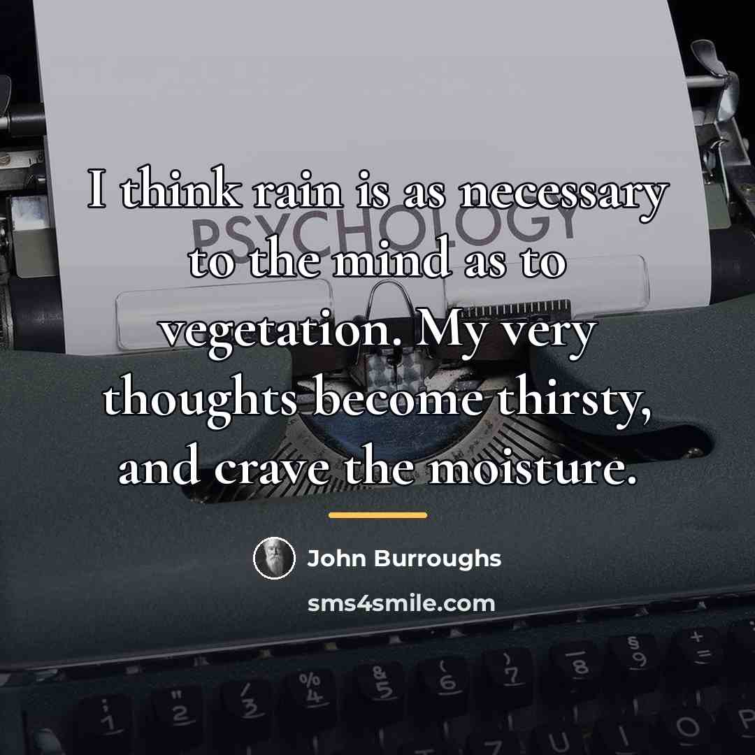“I think rain is as necessary to the mind as…” quote by John Burroughs