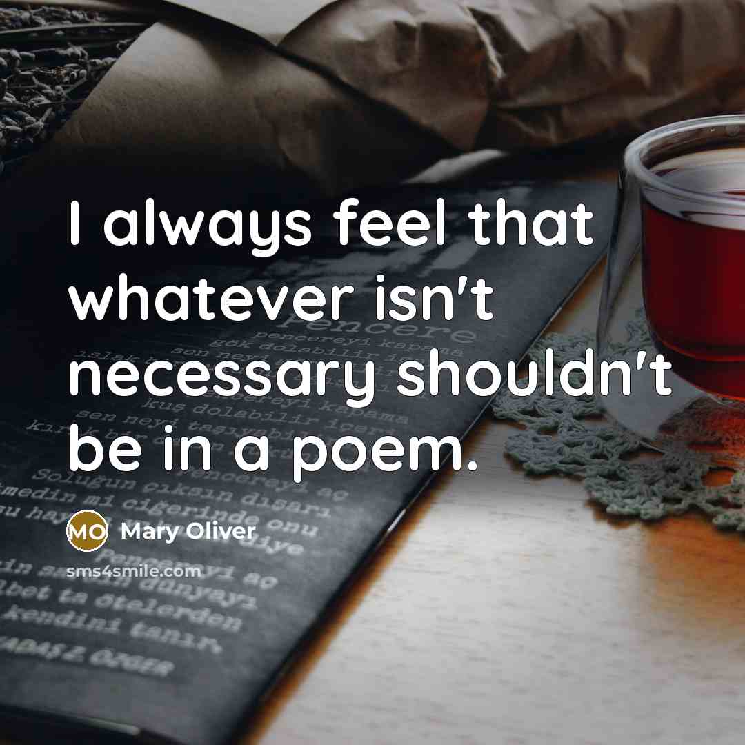 “I always feel that whatever isn't necessary shouldn't be in…” quote by Mary Oliver