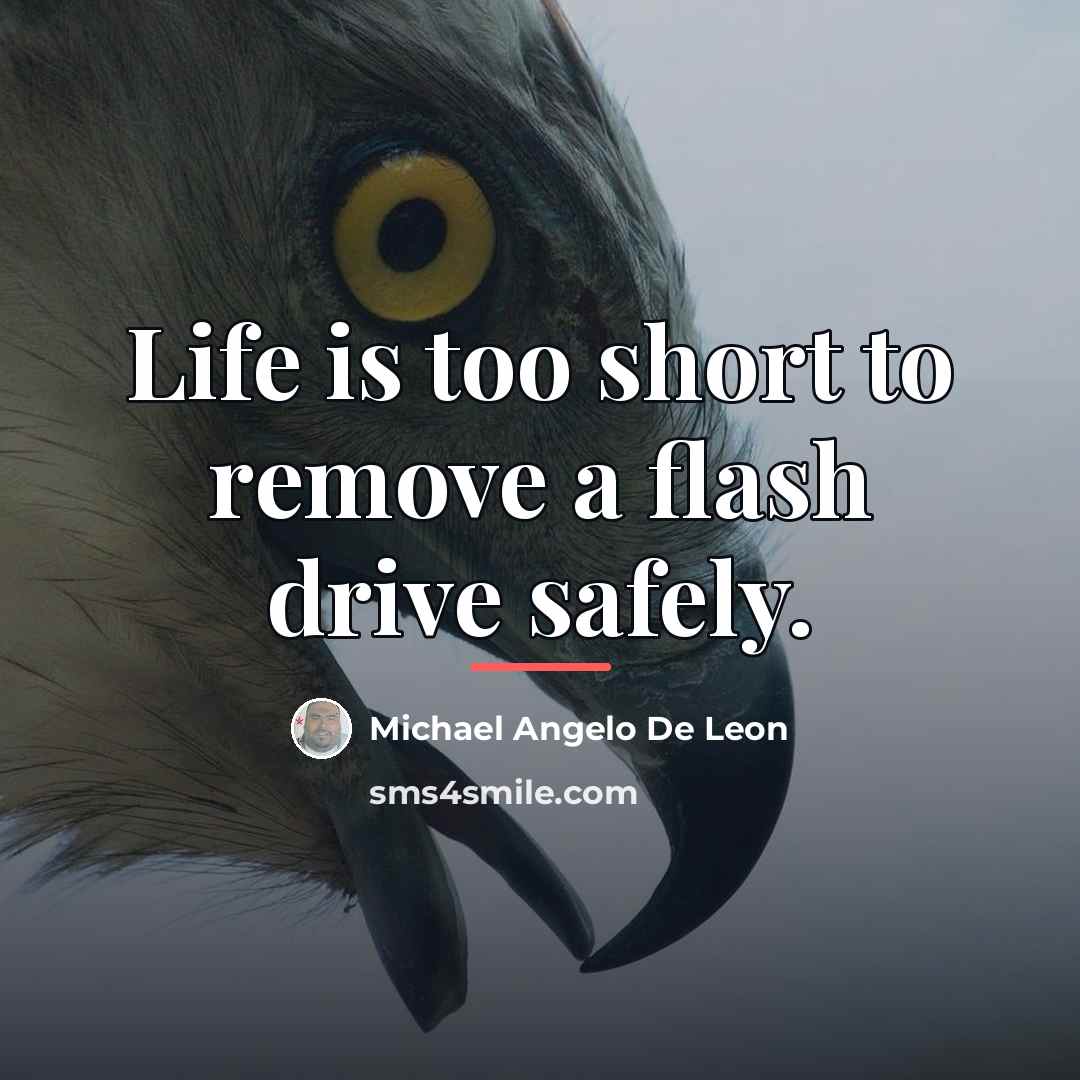 “Life is too short to remove a flash drive safely.…” quote by Michael Angelo De Leon