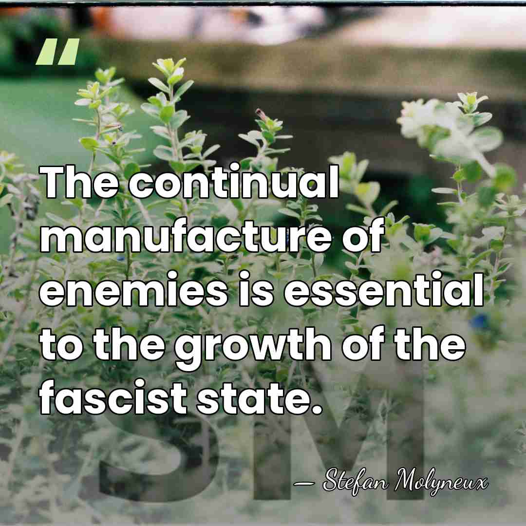 The continual manufacture of enemies is essential to the growth of the&hellip; - Stefan Molyneux