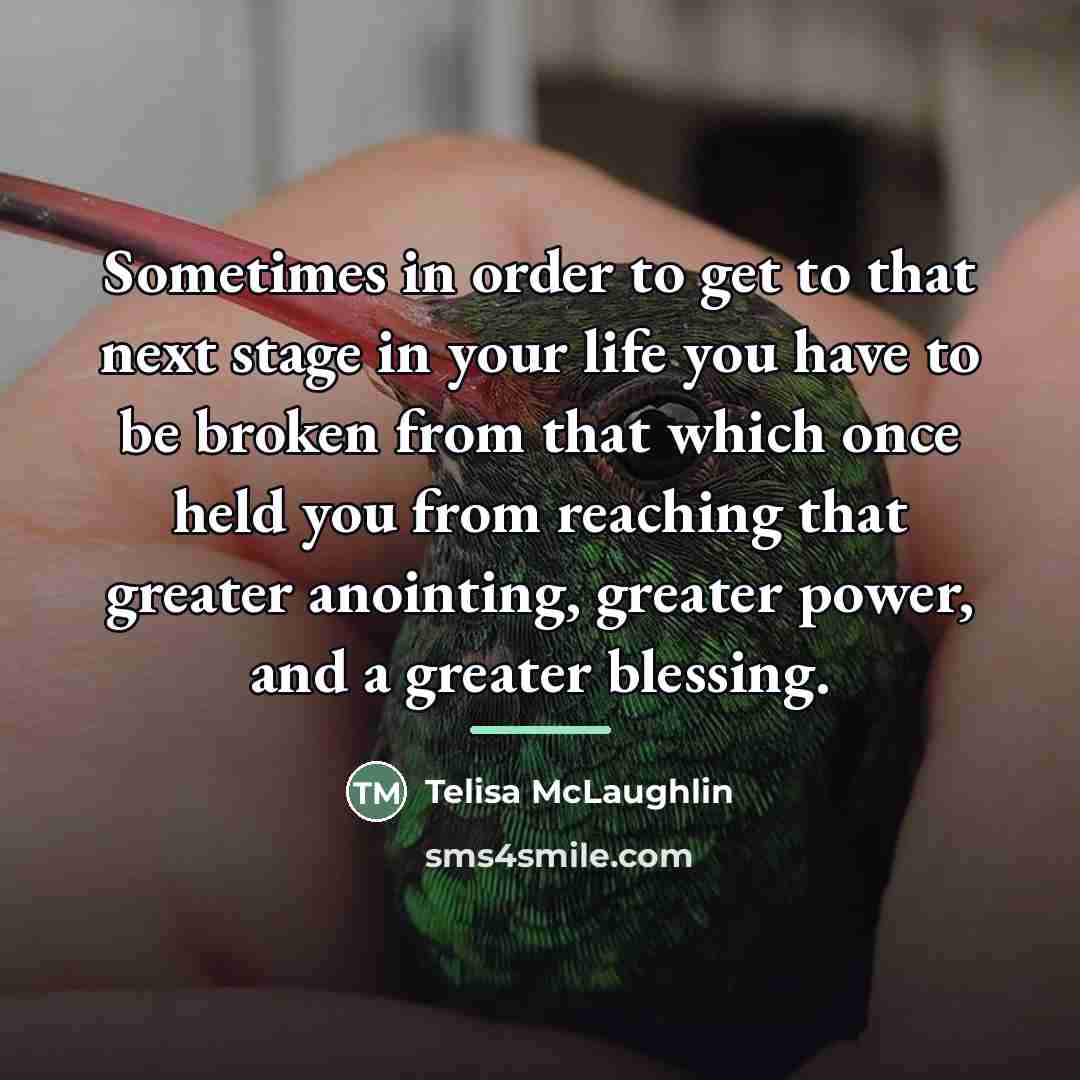 “Sometimes in order to get to that next stage in…” quote by Telisa McLaughlin
