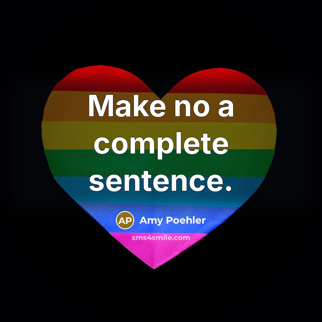 “Make no a complete sentence.” quote by Amy Poehler