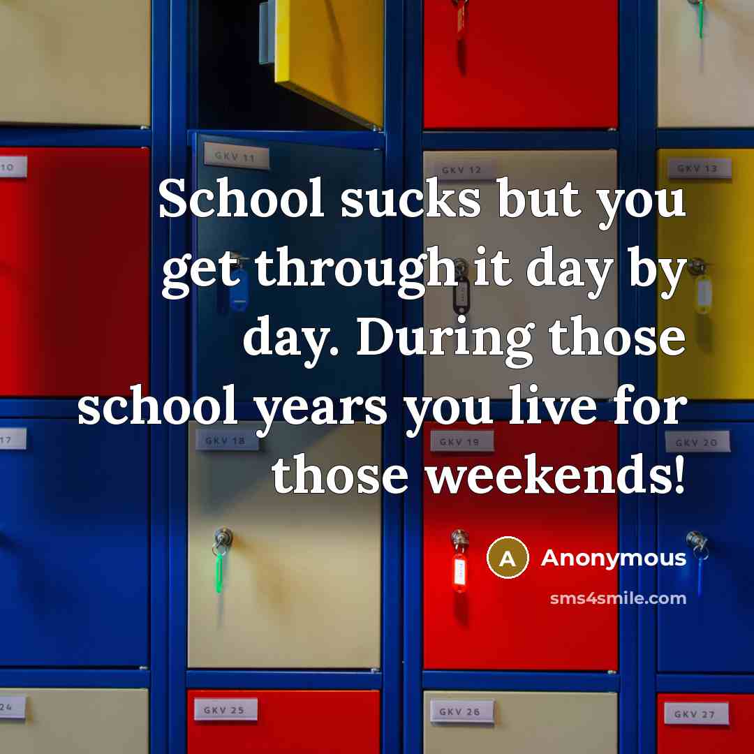 “School sucks but you get through it day by day.…” quote by Anonymous